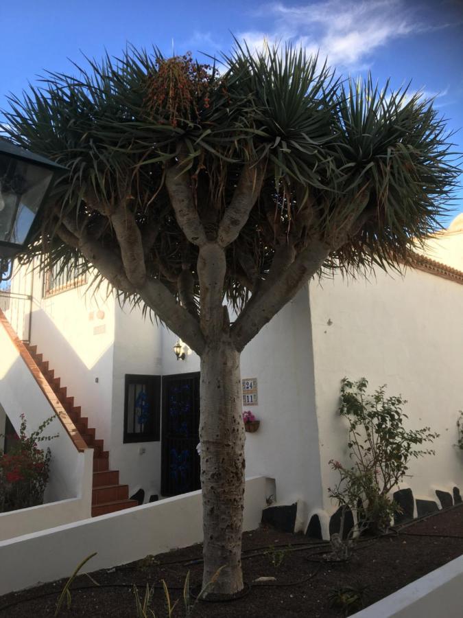 Tenerife Costa del silencio Costa Del Silencio Exterior foto